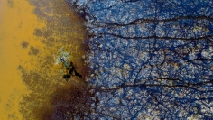 Stu Murphy My Tree, 2018, Aerial photo of wetlands near Grafton NSW